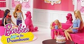 Happy Birthday Chelsea | Barbie LIVE! In the Dreamhouse | @Barbie