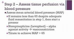Severe Sepsis and Septic Shock Protocols