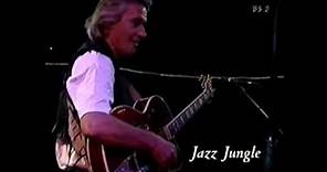 Jazz jungle John McLaughlin