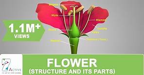 Flower Structure and its Parts