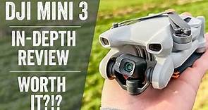 DJI Mini 3 In-Depth Review: Real Life Testing!