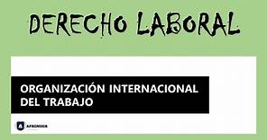 OIT - La Organización Internacional del Trabajo