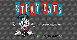 Stray Cats - Cat Fight (Over A Dog Like Me)