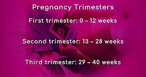 Pregnancy: Trimesters