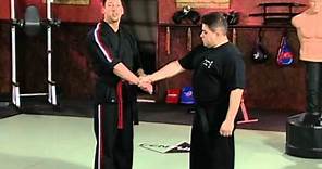 Scott Rogers Authentic Pressure Point - Volume 1: Fundamentals of Pressure Points: Arms and Set Ups