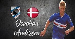 Joachim Andersen ● Skills , Long Passes , Tackles ●│2018 - 2019│►HD
