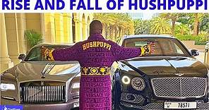 Everything You Need To Know About HUSHPUPPI - Background, Source of ...