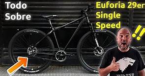 Bicicleta 29er Euforia Single Speed Review Bici Urbana