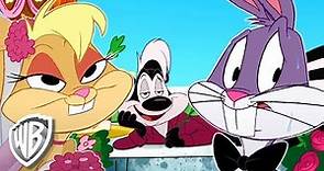 Looney Tunes en Latino | La boda de Bugs Bunny | WB Kids
