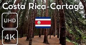 Paseo: Descubre el bosque de Prusia, Cartago, Costa Rica POV I 4K I GoPro