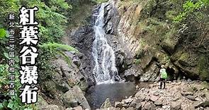 三芝八連溪上游祕境～紅葉谷瀑布 (Hongyugu Waterfall)