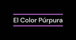 [RESUMEN] El Color Púrpura - Alice Walker