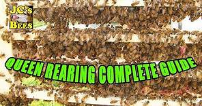 Raising Queen Bees / Queen Rearing / Grafting Queen Bees