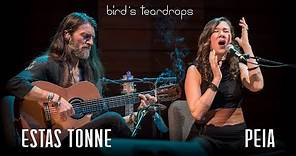 Bird's Teardrops || Estas Tonne feat. Peia || Ashland, Oregon 2018