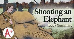 Shooting an Elephant Video Summary