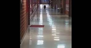 Bear roams hallway at Bozeman High School