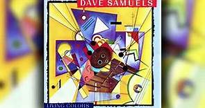 [1988] Dave Samuels / Living Colors (Full Album)