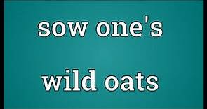 Sow one's wild oats Meaning