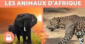 Les animaux d'Afrique - 10 ANIMAUX SAUVAGES de la savane africaine