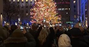 Rockefeller Center reveals 2023 Christmas tree