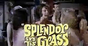 Splendore nell'erba (Trailer HD)