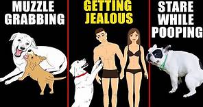 Understand Your Dog Better: Why Dogs Show Jealousy and 8 More Dogs Behaviors Explained