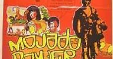 El mojado remojado (1981) Online - Película Completa en Español - FULLTV