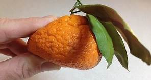 When is it ripe? Tangerines