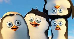 DreamWorks Madagascar em Português | Os Pinguins de Madagascar -Trecho Exclusivo |Desenhos Animados