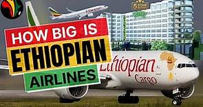 HOW BIG IS ETHIOPIAN AIRLINES – The Story of Ethiopian Airlines (Africa's biggest Airline)