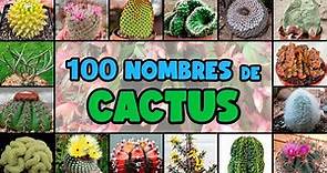 100 tipos de CACTUS y su NOMBRE CIENTÍFICO