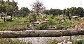 Parque del Alamillo, un parque para todos, Sevilla