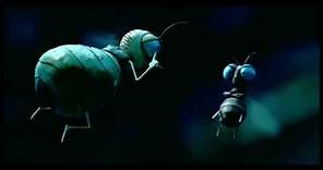 "Te conozco mosca" Trailer Oficial