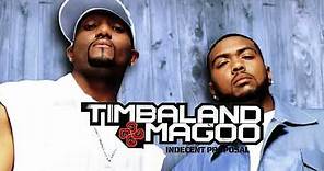 Timbaland, Magoo, Aaliyah & Static Major - I Am Music (Visualizer)