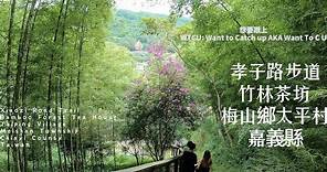 孝子路步道-竹林茶坊 嘉義縣梅山鄉, Xiaozi Road Trail-Bamboo Forest Tea House, Meishan Township, Chiayi County Taiwan