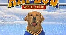 Air Bud 3: Los cachorros de Buddy - HBO Online