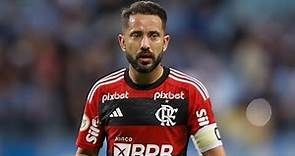 TODOS OS 45 GOLS DE ÉVERTON RIBEIRO PELO FLAMENGO