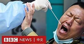 反封控示威後中國防疫面臨「新任務」中國民眾怎麼看？－ BBC News 中文