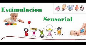 Estimulacion sensorial en niños (teoría)