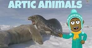 Chilly Adventures | LEARN ALL ABOUT ARTIC ANIMALS | Kids Educational Video