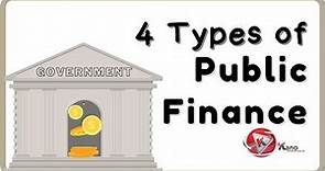 What is Public Finance? 4 Types of Public Finance Explained | 7 Functions of Public Finance