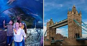 How to get 2-for-1 tickets to Alton Towers, Chessington, the London Dungeon, Blackpool Tower and more - Netmums
