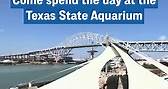 Looking for weekend plans? Come... - Texas State Aquarium
