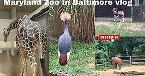 The Maryland Zoo In Baltimore