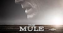 Mula (Cine.com)