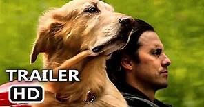 THE ART OF RACING IN THE RAIN Trailer (2019) Romantic Comedy Movie