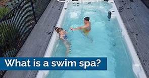 What is a swim spa? (features, pros, cons and more) #swimming #spa