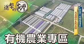 【進擊的台灣】全台第一有機農業專區 友善耕作生態永續