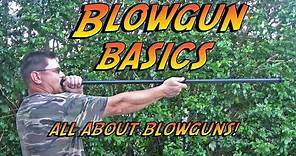 Blowgun Basics