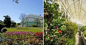 Botanic Gardens Dublin: A Handy 2024 Guide